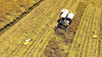 Developing agricultural logistics system